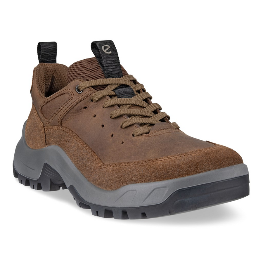 Ecco - Offroad M Shoe - Cocoa Brown - Shoes