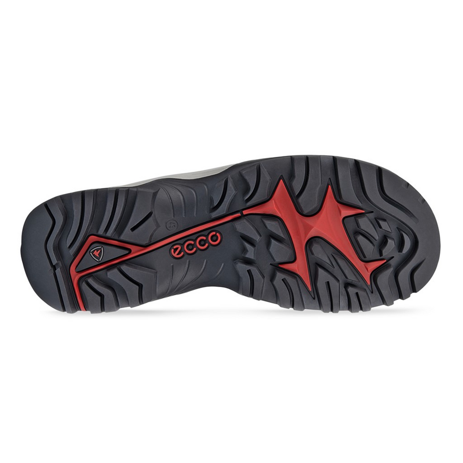 Ecco - Offroad M Shoe - Cocoa Brown - Shoes