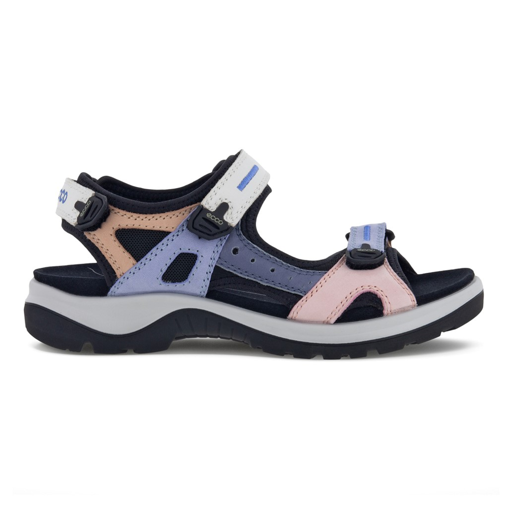 Ecco Sandal - Multicolor Eventide Gibbs Shoes