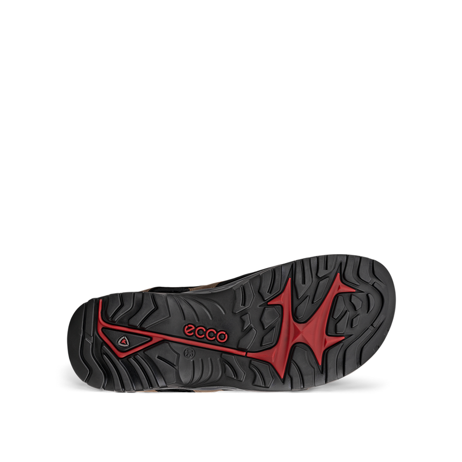 Ecco - Offroad Andes II M - Nutmeg Brown - Sandals