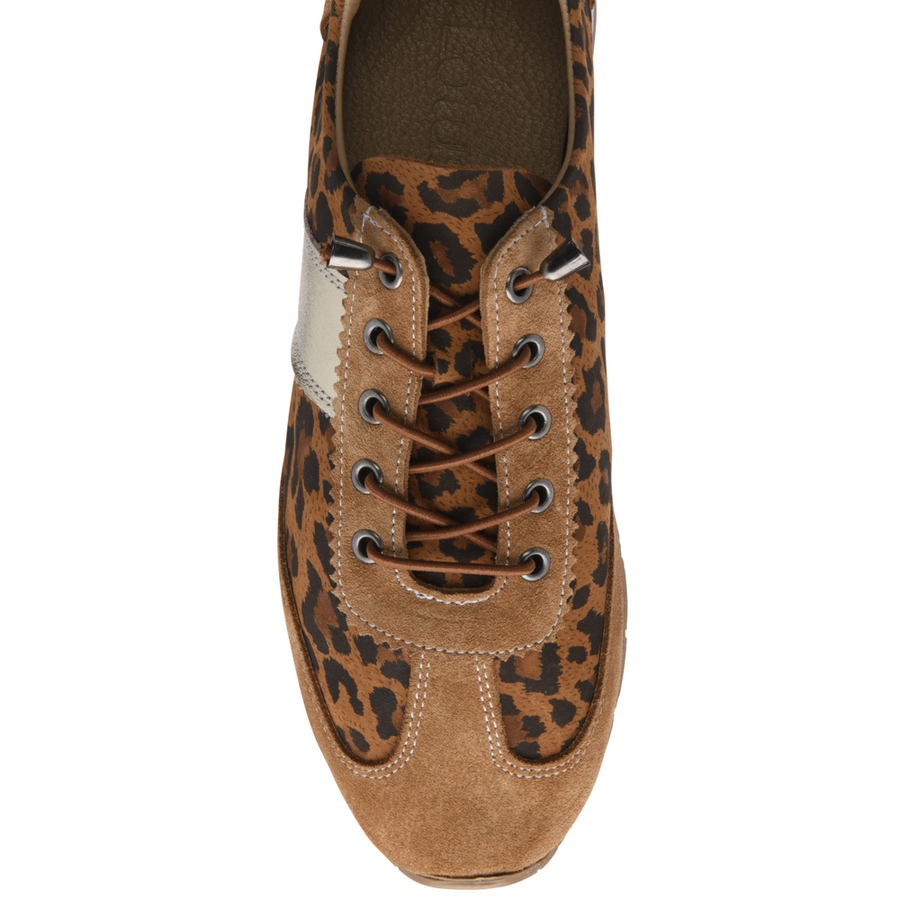 Lotus - Lola - Tap Leopard - Shoes