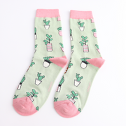 Miss Sparrow - SKS544 - Small Succulents Socks - Mint