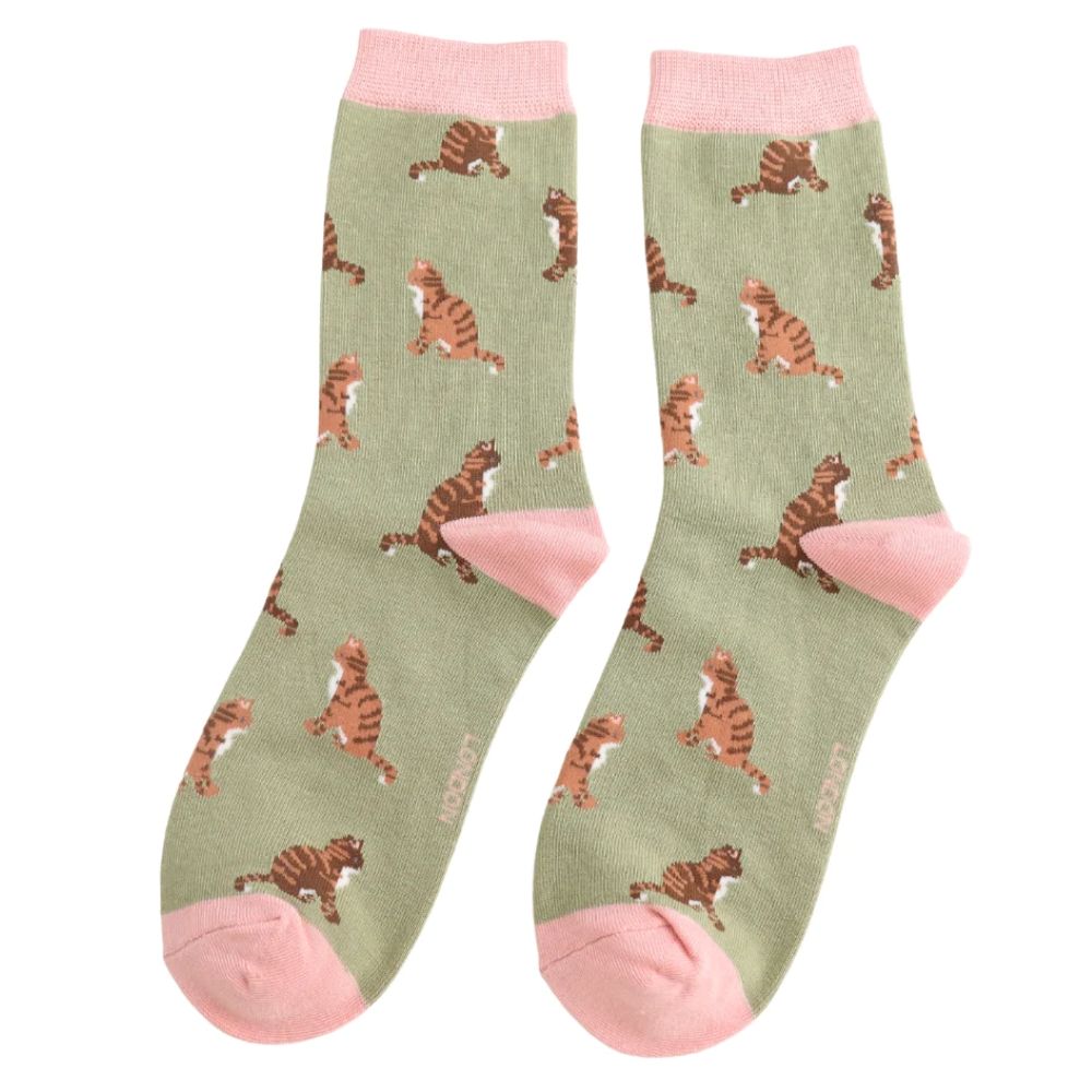 Miss Sparrow - Tabby Cats - Olive - Socks