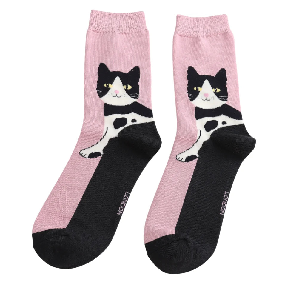 Miss Sparrow - SKS620 - Long Cats - Pink - Socks