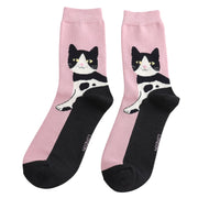 Miss Sparrow - SKS620 - Long Cats - Pink - Socks