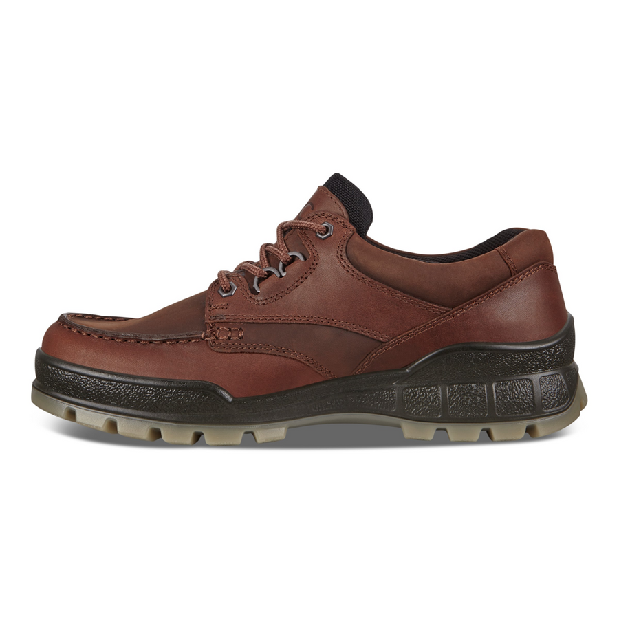 Ecco Track 25 M Moc Shoe GTX Bison Shoes Gibbs Shoes