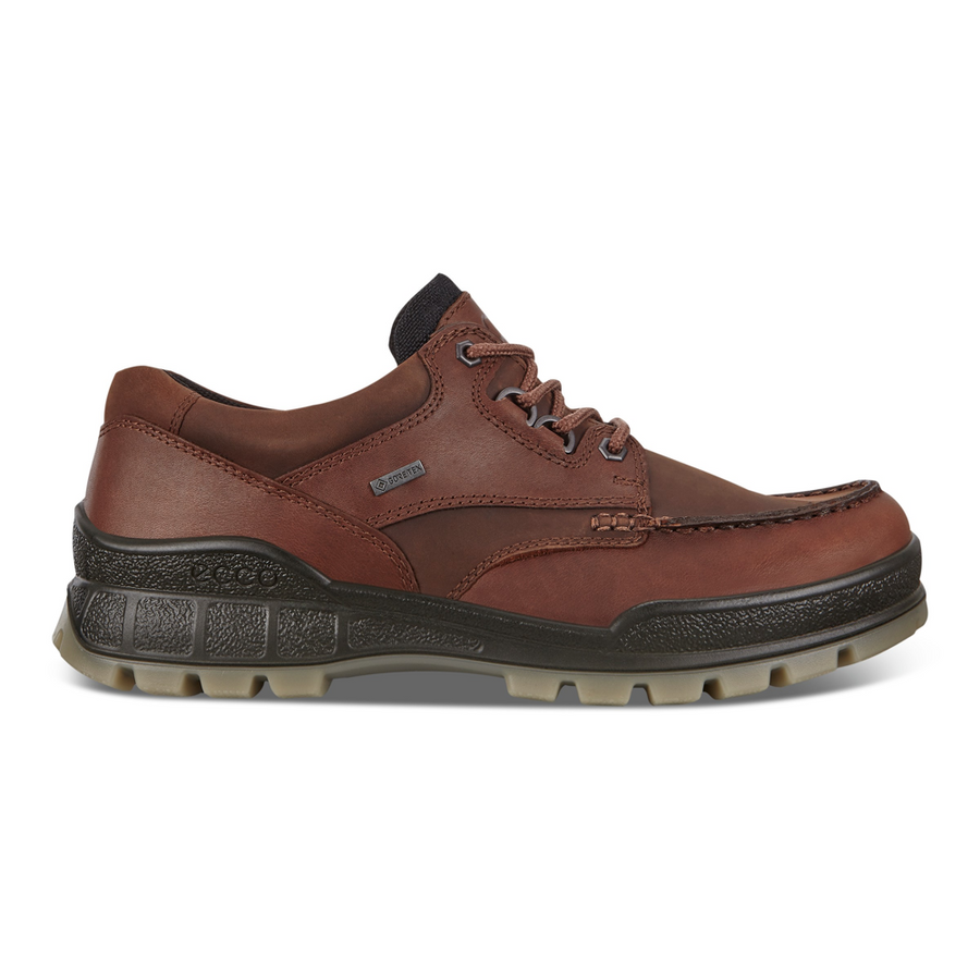 Ecco Track 25 M Moc Shoe GTX Bison Shoes