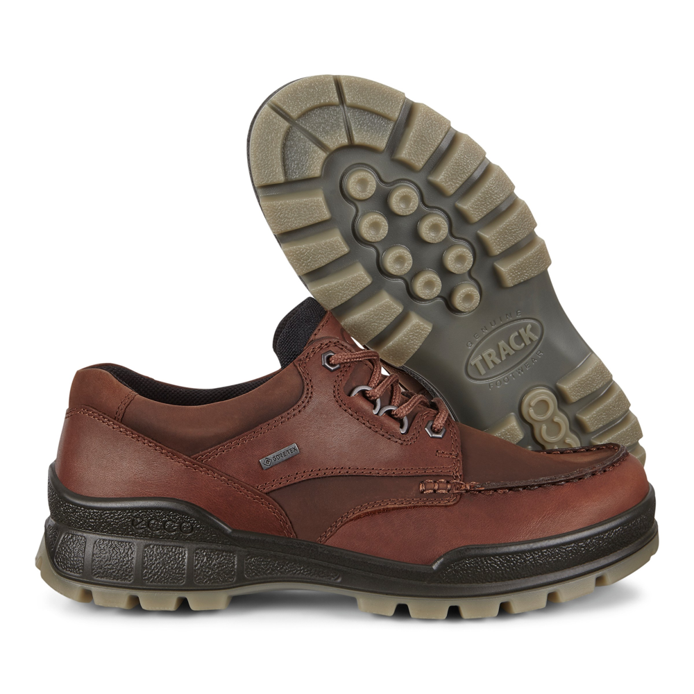 Ecco Track 25 M Moc Shoe GTX Bison Shoes