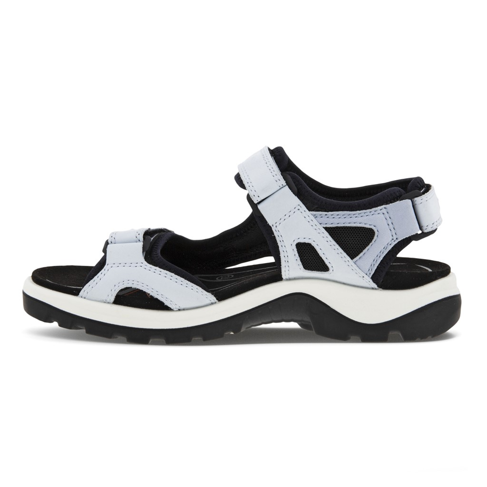 Ecco all terrain 2024 sandals
